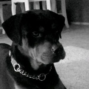 Meet your Posher, Brandy